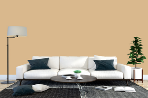 AndinaColor Superior - Camello