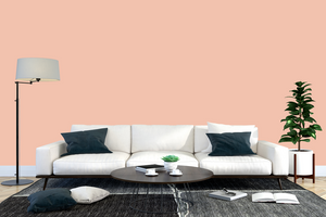 AndinaColor Superior - Rosa Nude