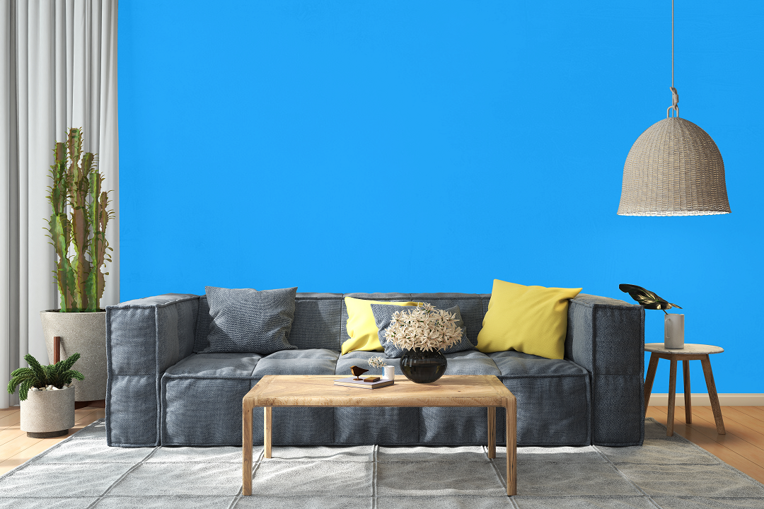 AndinaColor Pintor - Celeste