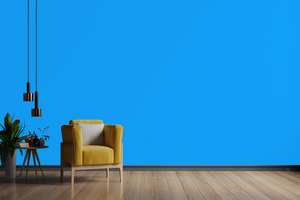 AndinaColor Pintor - Celeste