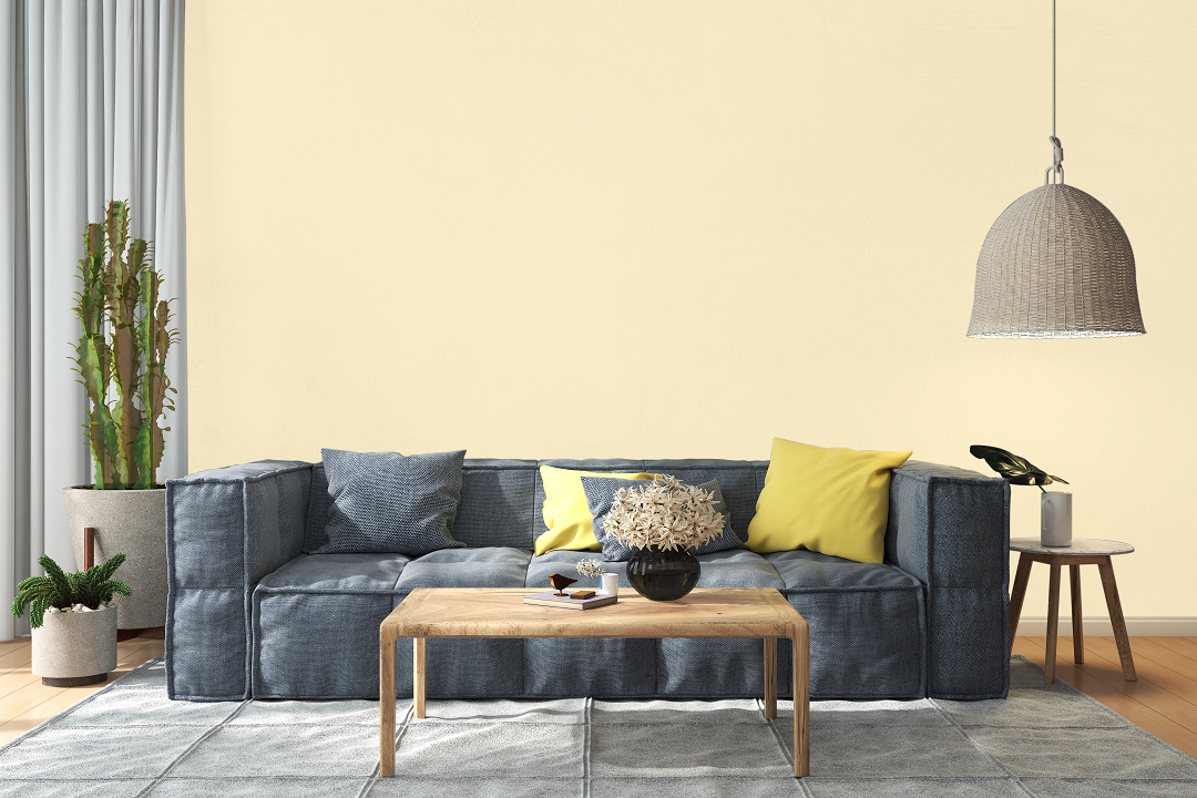 AndinaColor Pintor - Crema