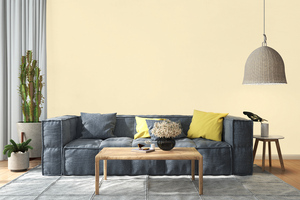 AndinaColor Pintor - Crema