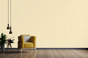 AndinaColor Pintor - Crema