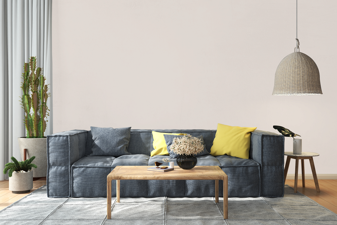 AndinaColor Pintor - Grava
