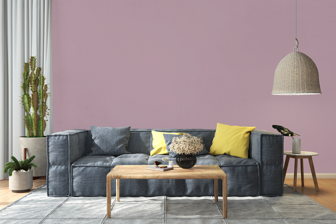 AndinaColor Pintor - Lavanda