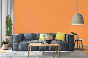 AndinaColor Pintor - Mandarina
