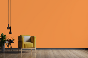 AndinaColor Pintor - Mandarina