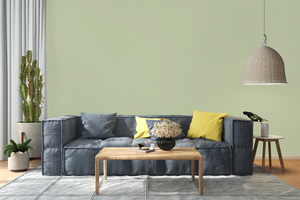 AndinaColor Pintor - Pistacho