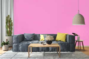 AndinaColor Pintor - Rosa Bebé