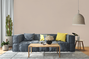 AndinaColor Pintor - Sereno