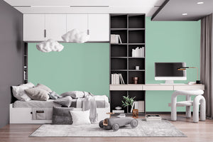 AndinaColor Superior - Menta