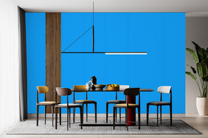AndinaColor Pintor - Celeste