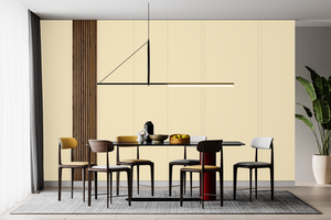 AndinaColor Pintor - Crema