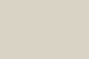AndinaColor Pintor - Gris Natural