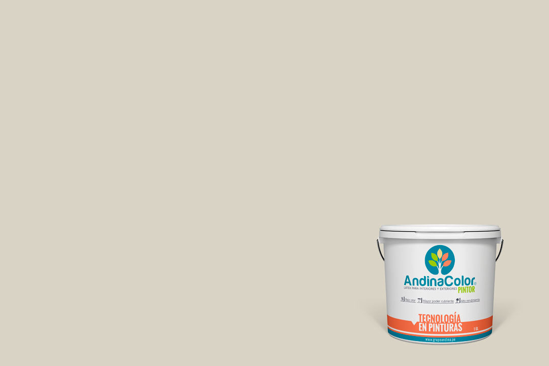 AndinaColor Pintor - Gris Natural