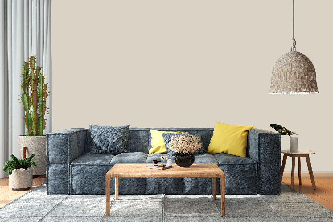 AndinaColor Pintor - Gris Natural