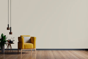AndinaColor Pintor - Gris Natural