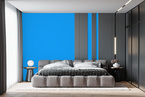 AndinaColor Pintor - Celeste