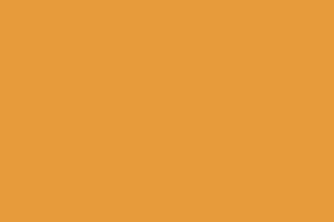 AndinaColor Pintor - Ocre