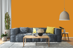 AndinaColor Pintor - Ocre
