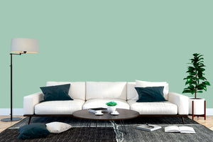 AndinaColor Superior - Menta