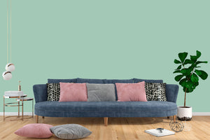 AndinaColor Superior - Menta