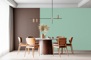 AndinaColor Superior - Menta