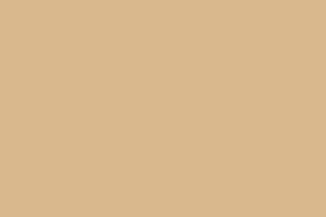 AndinaColor Superior - Camello