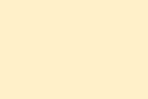 AndinaColor Pintor - Crema
