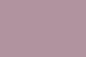 AndinaColor Pintor - Lavanda