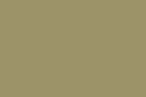 AndinaColor Superior - Safari